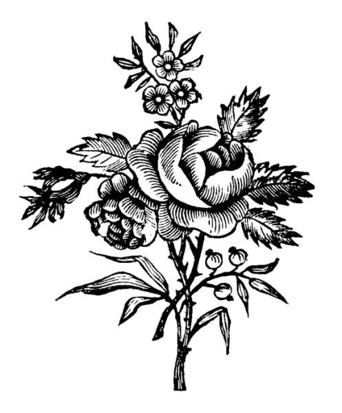 Контуры для выжигания по дереву