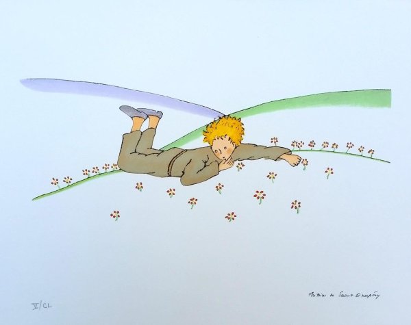 Жоанн Сфар "маленький принц"