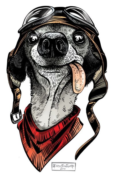 Крутые животные арт