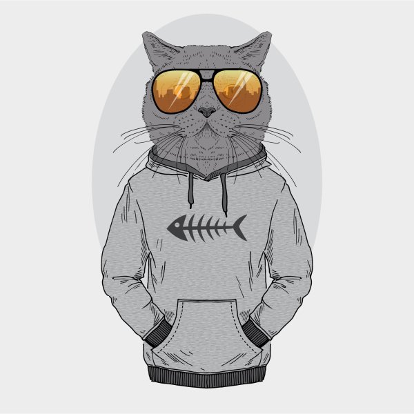 Мультяшные котики в одежде