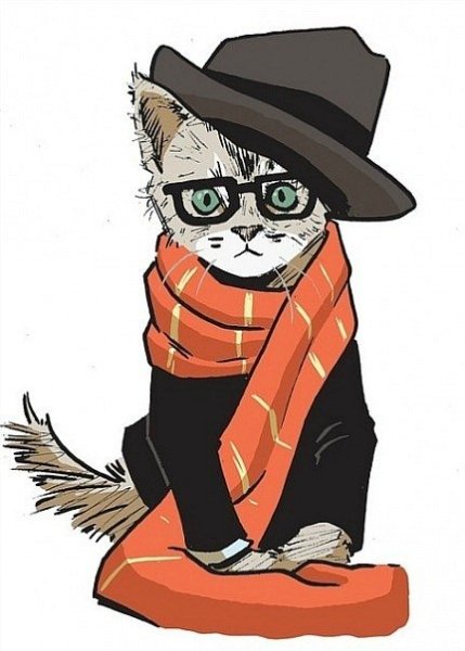 Кот в шапке и шарфе