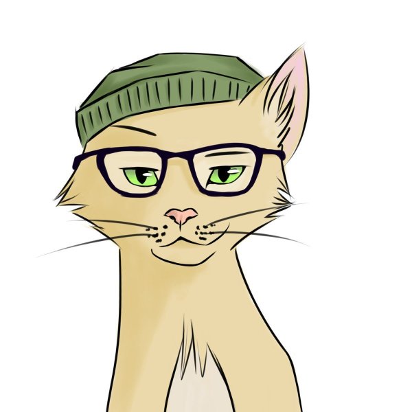 Аватарка кот