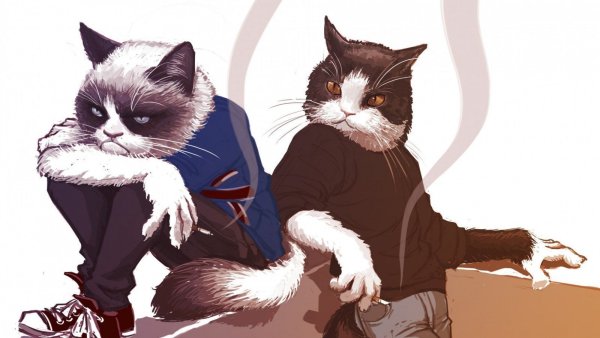 Арты с котами