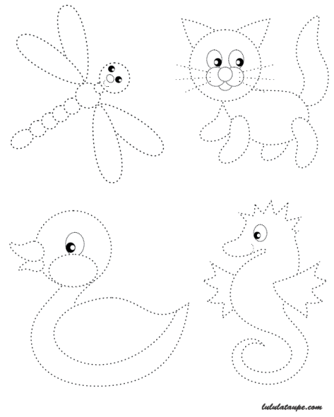 Обводка для дошкольников