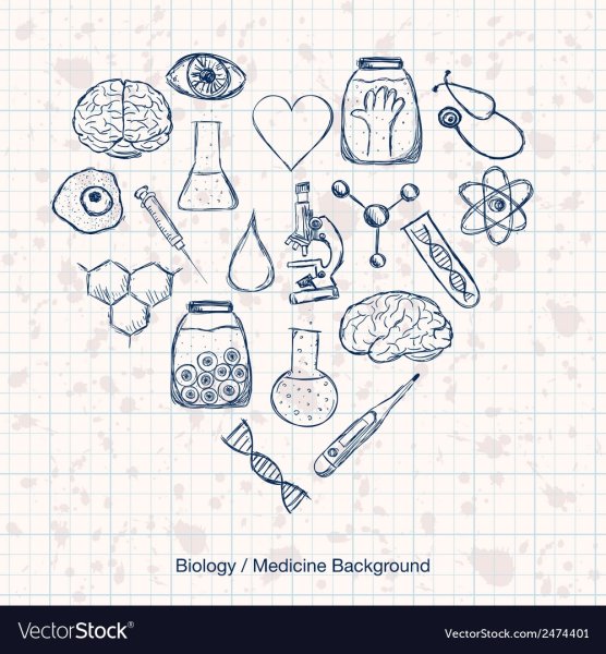 Биология рисунки