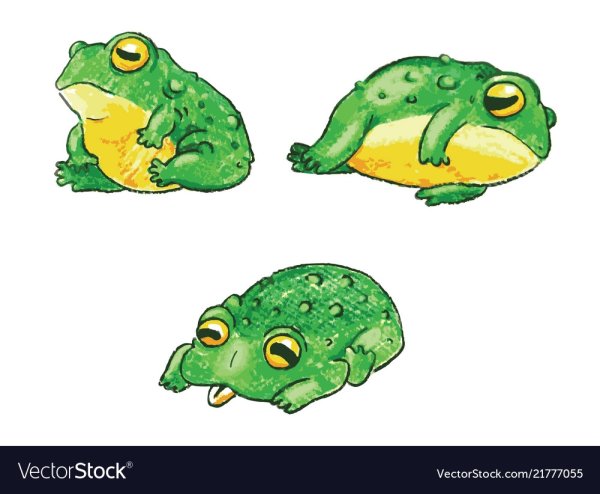 Милая уставшая лягушка