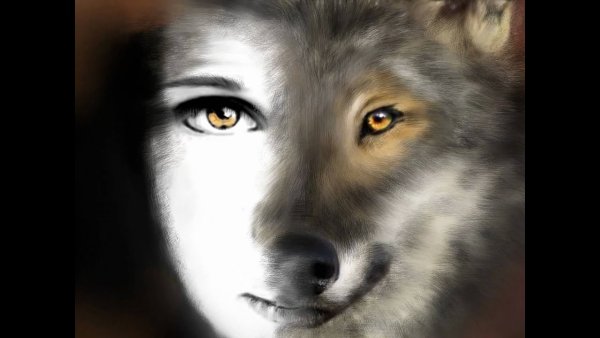 Волчица и девушка