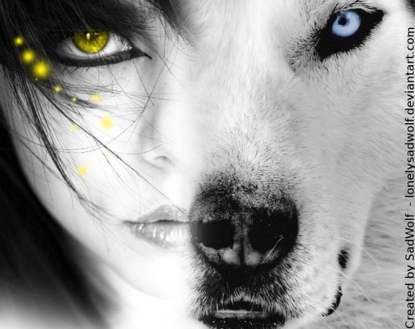 Девушка с глазами волка