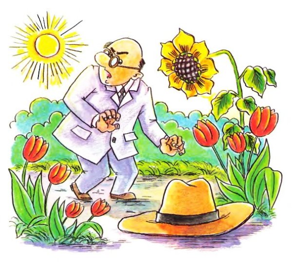 Приключение маленького человечка Андрей Усачев