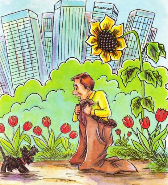 Приключение маленького человечка Андрей Усачев