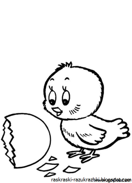 Цыпленок. Раскраски
