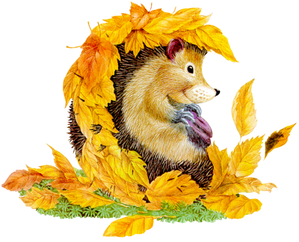 Иллюстратор Катя Дудник