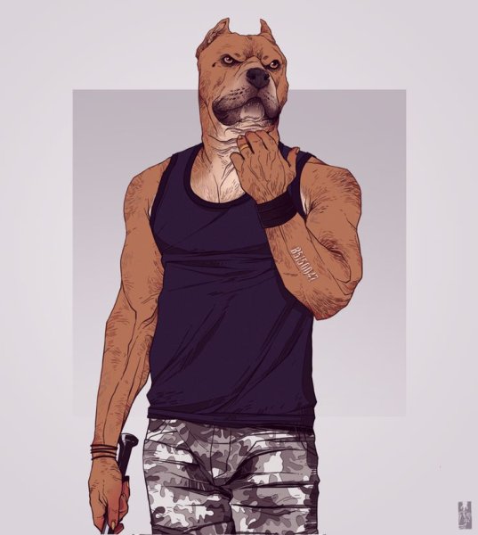 Доберман тату эскиз