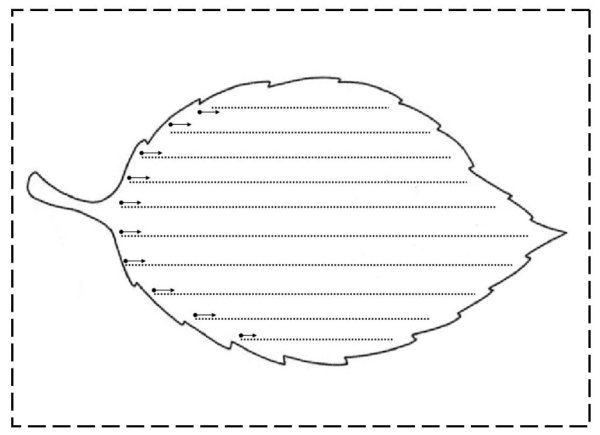 Трафареты для штриховки