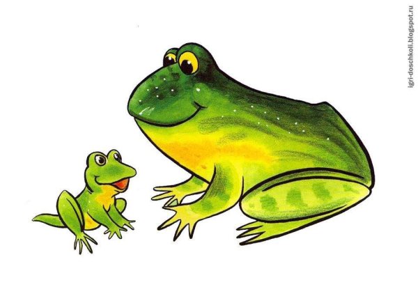 Лягушонок раскраска