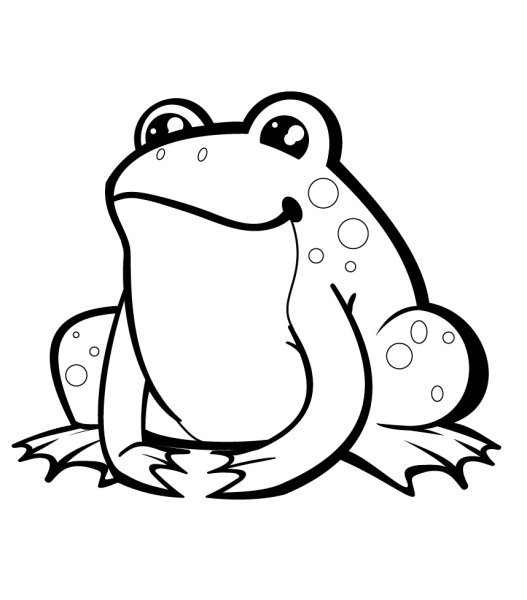 Веселая лягушка раскраска