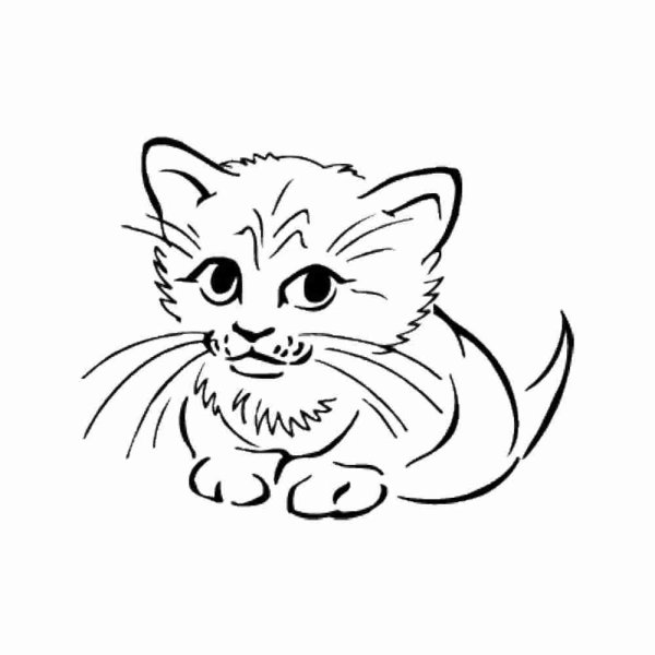 Рисование котенка маленького