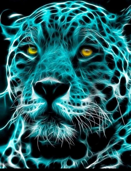 Красивые разноцветные животные