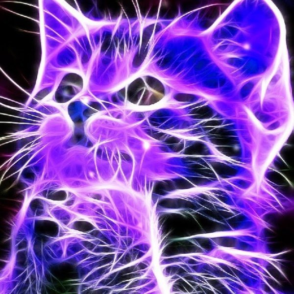 Неоновый череп