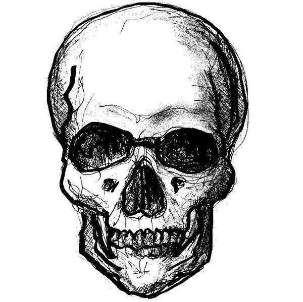 Белый череп на прозрачном фоне