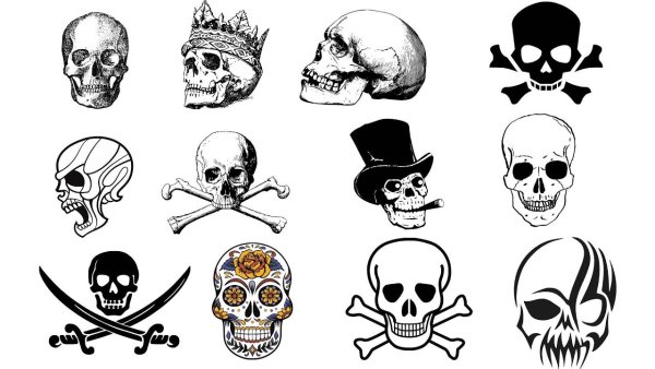 Маленький череп