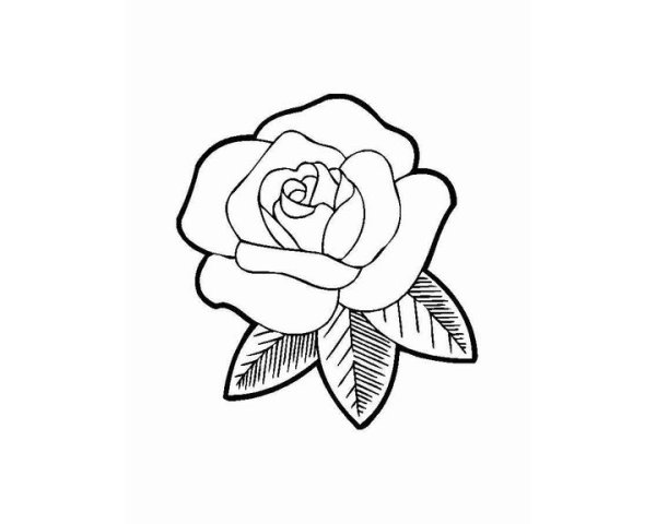 Розы раскраска маленькие