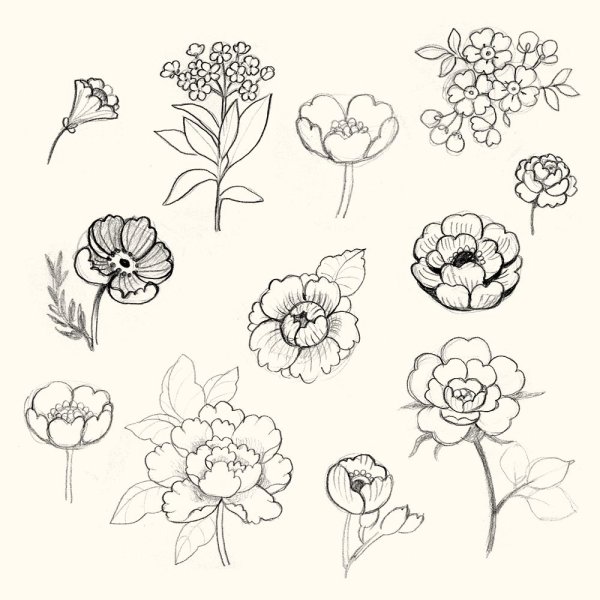 Маленькие цветы эскиз