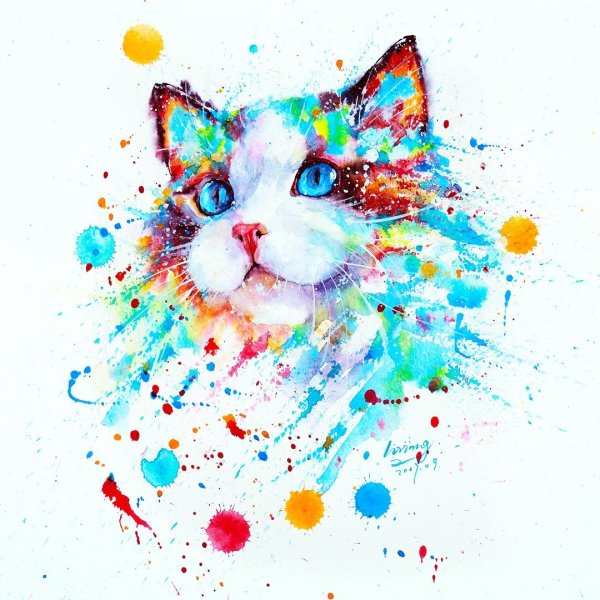 Разноцветный кот