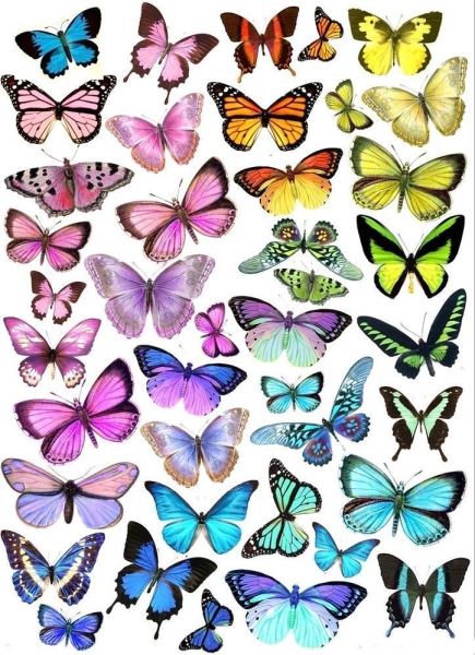 Рисунки цветные легкие