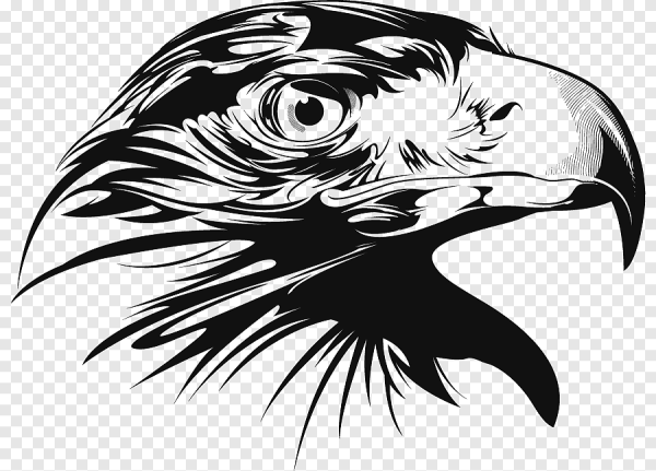 Стилизованные Орлы