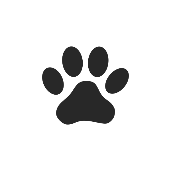 Тату кошачьи лапки эскиз