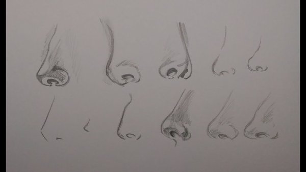 Как рисовать нос человека