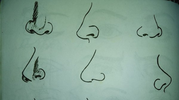 Нос раскраска