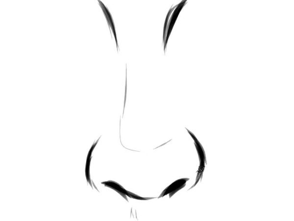 Нос рисунок карандашом для начинающих