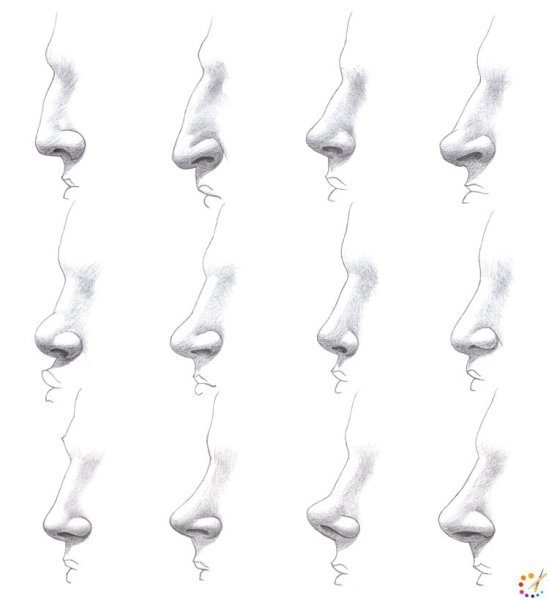 Нос раскраска