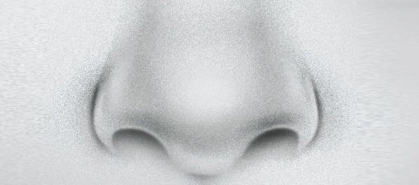 Нарисованные носы в разных стилях