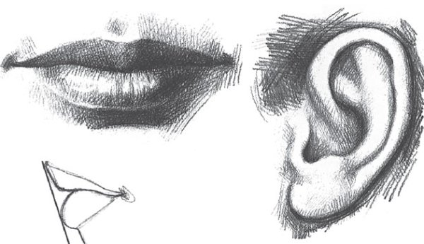 Нос спереди карандашом