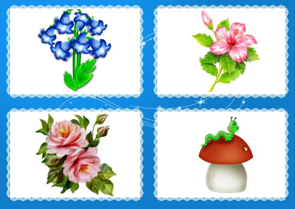 Классификация предметов по группам