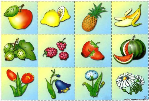 Животные для детей раскраски карточки