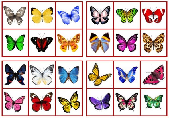 Сравни предметы для дошкольников