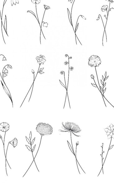 Тату растения эскизы