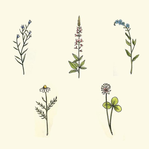 Эскизы тату цветы