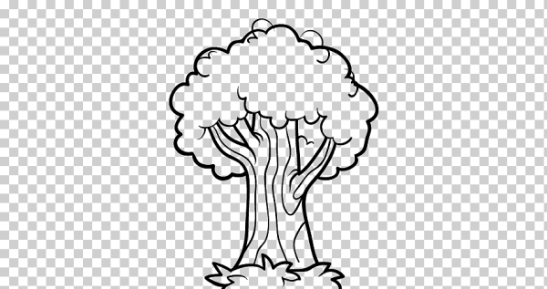 Дуб раскраска для детей