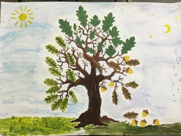 Рисование дуба