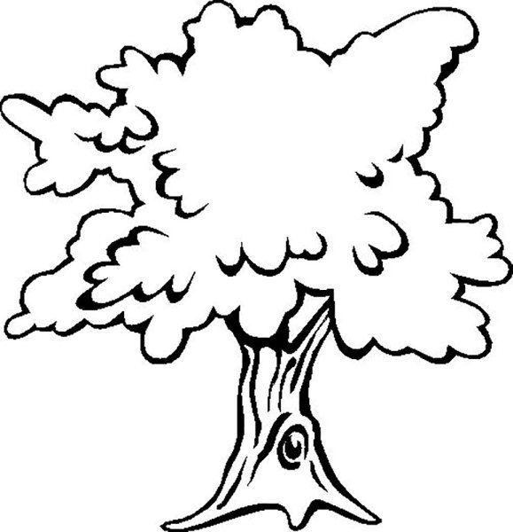 Дуб раскраска для детей