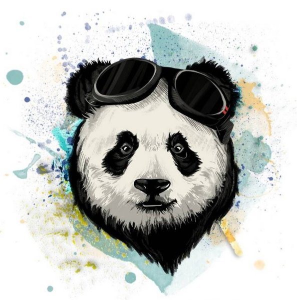 Морда панды арт