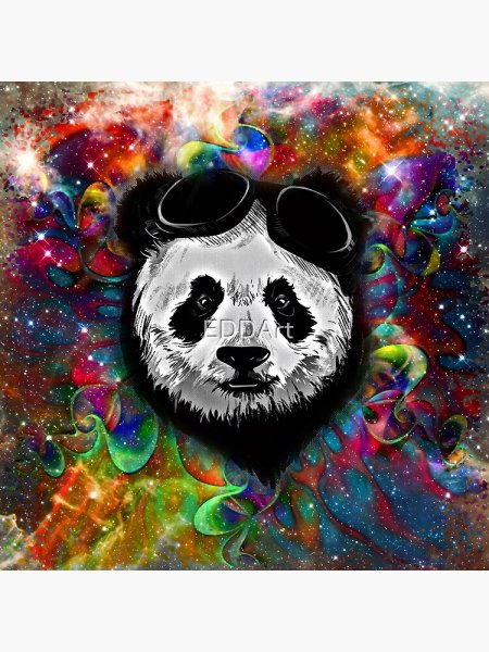 Панда в космосе