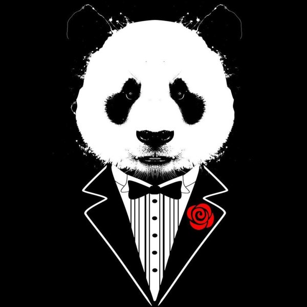 Фото панды на аву