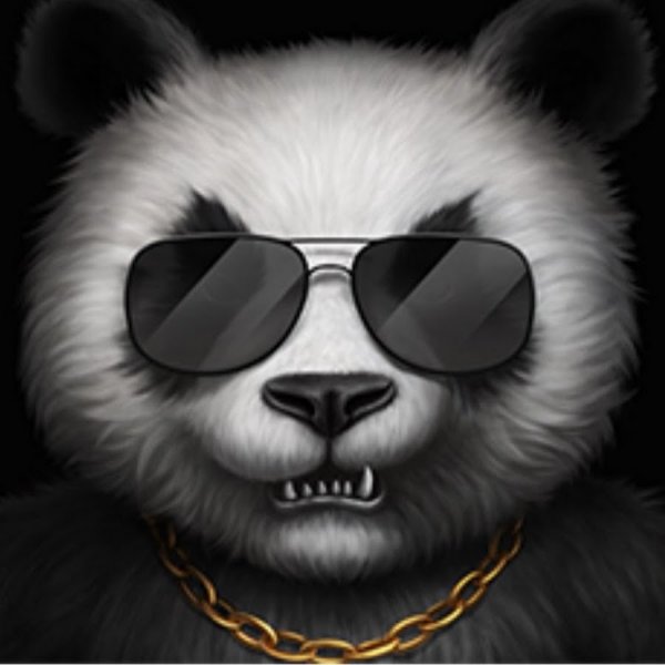 Панда в крутом стиле