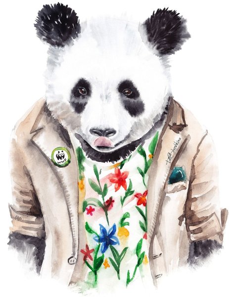 Классные аватарки